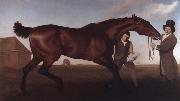George Stubbs Hambletonian, Rubbing Down France oil painting artist
